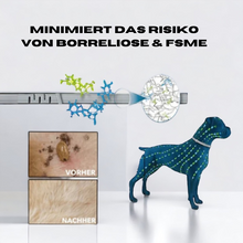 Lade das Bild in den Galerie-Viewer, DogSafe - Anti-Zeckenhalsband
